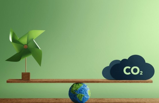 How a Carbon-Negative Future Will Change the Storage Industry