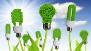 How a Carbon-Negative Future Will Change the Storage Industry green energy improvements
