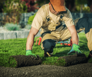 Top 8 Home Improvement Ideas to Boost Your Home Value landscaping