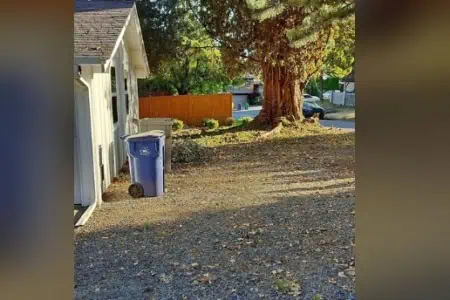 RV parking spot for rent