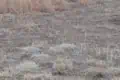 profile picture thumbnail 2