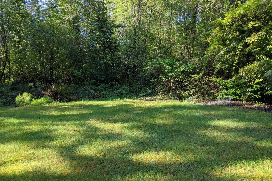 profile picture main 0