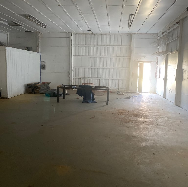 profile picture main 3