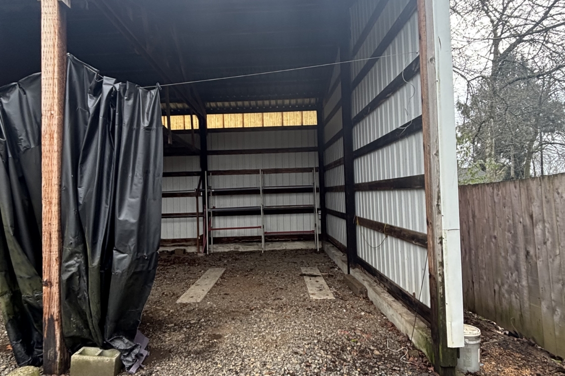 profile picture main 1