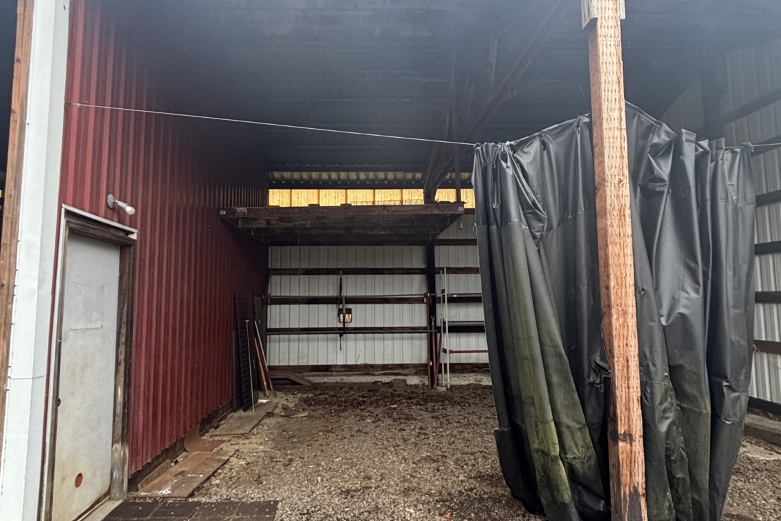 profile picture main 2