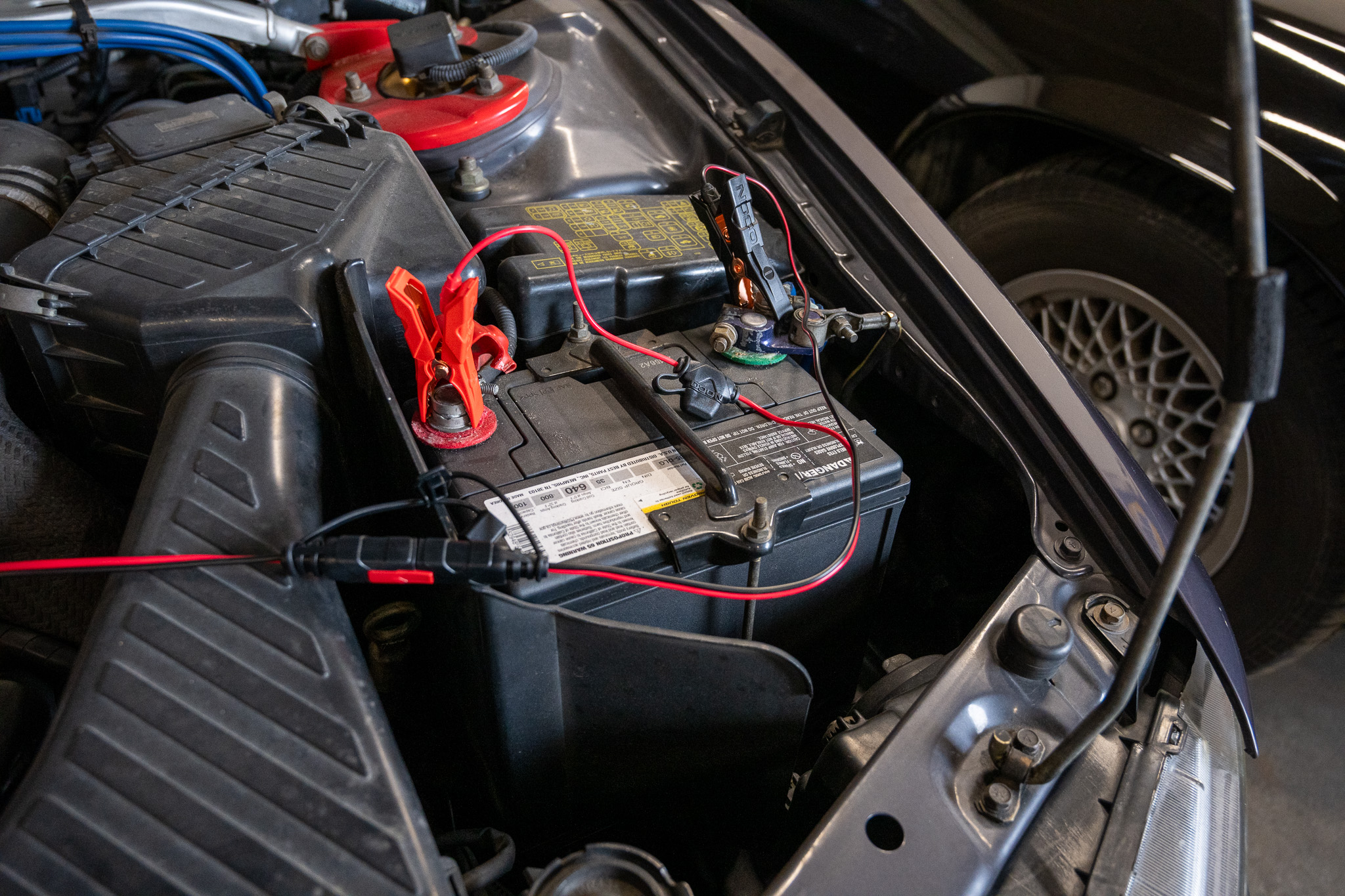 profile picture main 4